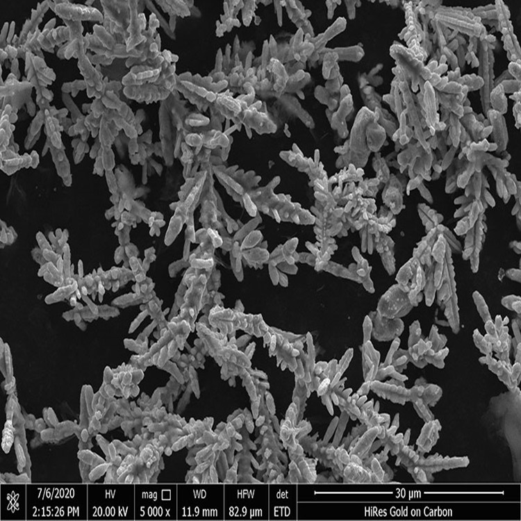 Optimizing the Conditions for Silver Coating of Dendritic Copper Powder