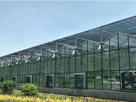 How Steel Vertical Farms are Transforming Sustainable Agriculture