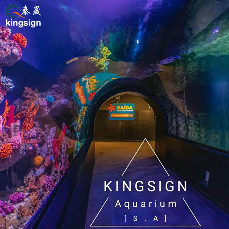 Discovering the Wonders of Aquarium Tunnels