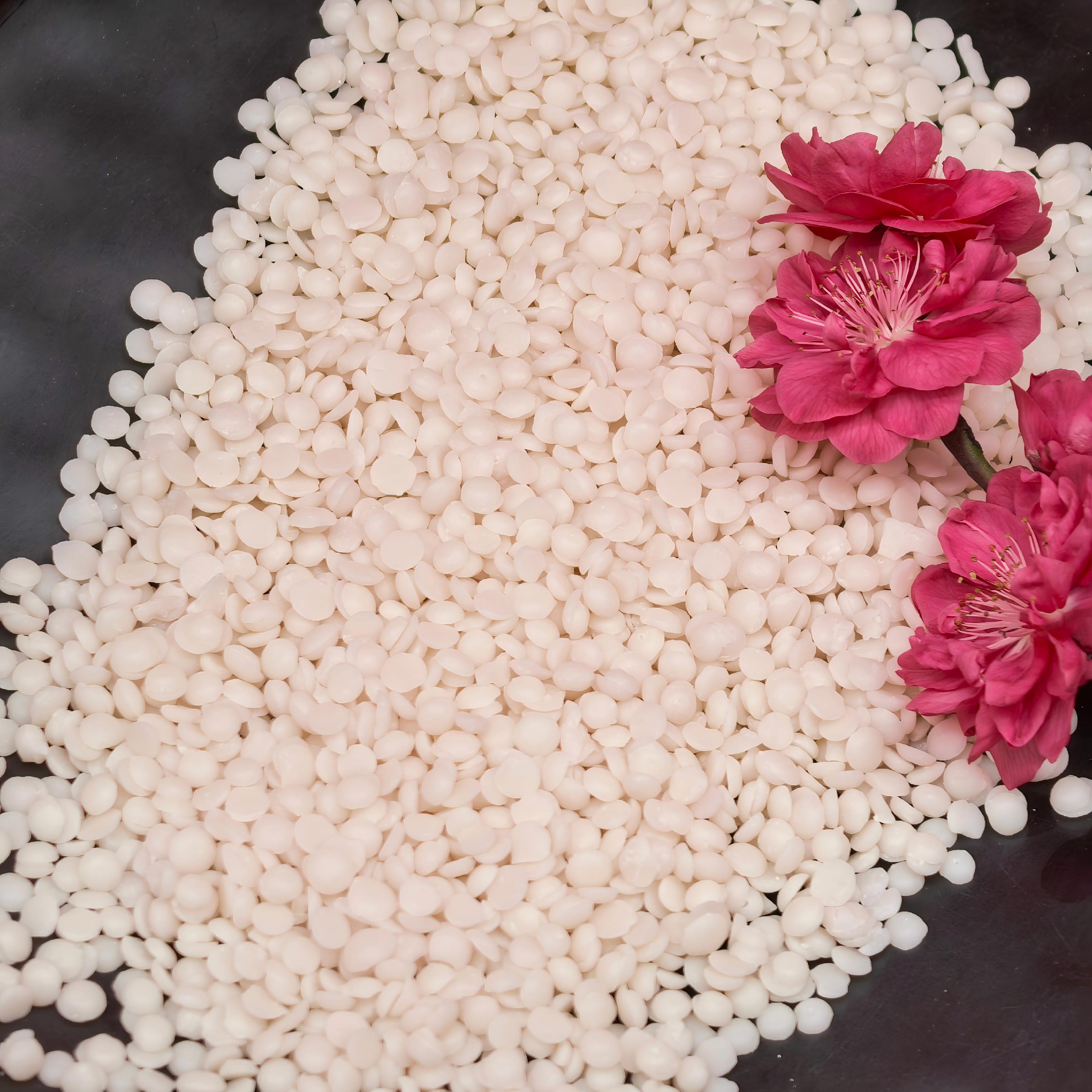 Bulk Berry Wax Supplier for Premium Natural Wax Products