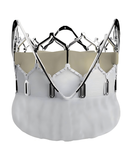 Top Transcatheter Aortic Valve Options Worth Considering