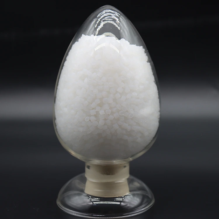 Biodegradable Polymer Particles